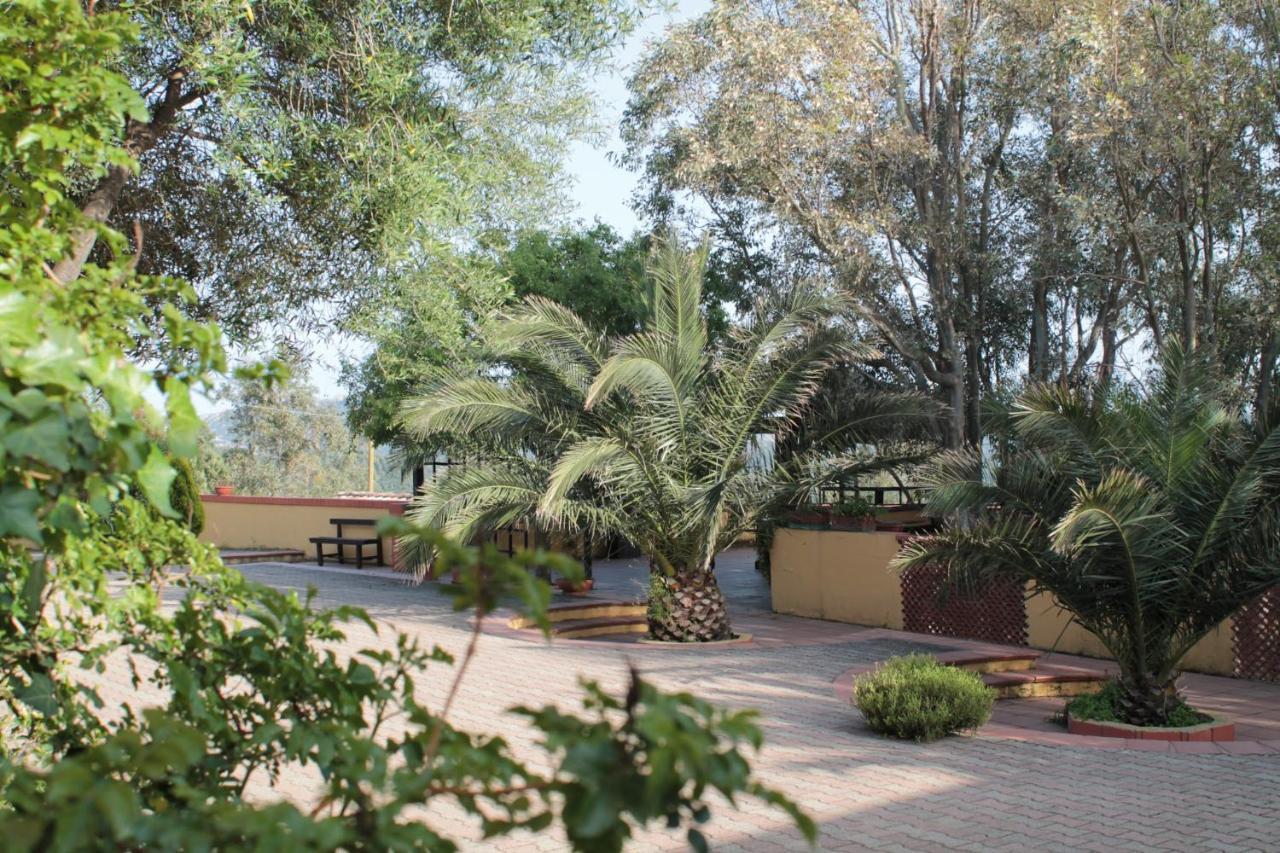 テウラーダ Agriturismo E Antica Fattoria Matteu Bed & Breakfast エクステリア 写真